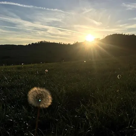 Natur Pur Im Schoenen Sauerland * Allendorf (North Rhine-Westphalia)