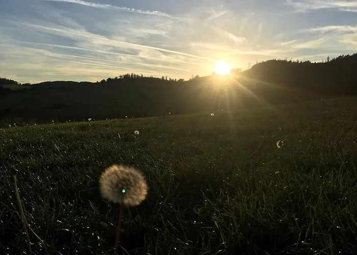Natur Pur Im Schoenen Sauerland * Allendorf (North Rhine-Westphalia)