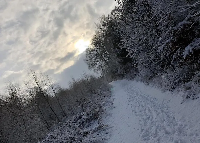 شقة Natur Pur Im Schoenen Sauerland